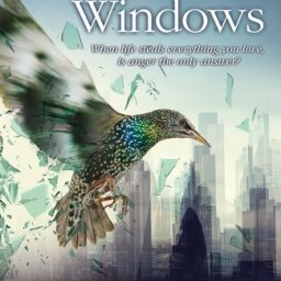 Smash All the Windows: a new book from Jane Davis